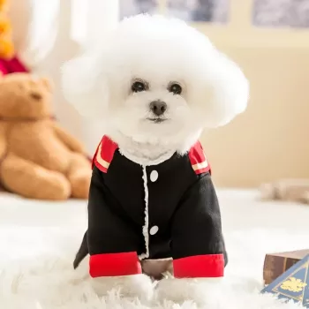 Warm Cotton Dog Uniform Dress: Fit, Comfort & Care