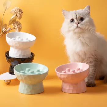 Ceramic Elevated Slow Feeder Bowl: Anti-Slip Neck Support